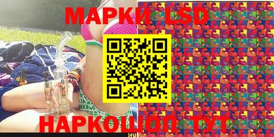 apvp Славгород