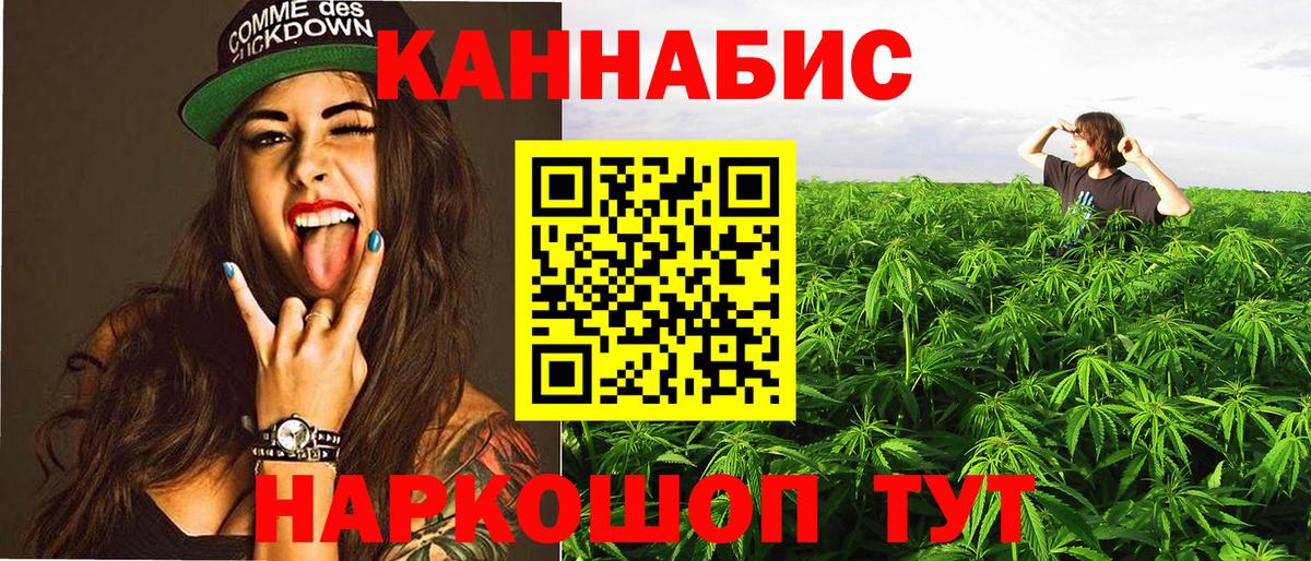 Каннабис гибрид  Конопля LSD WEED  Вход с VPN  Канабис VHQ  Новозыбков  Каннабис ГИДРОПОН 